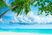 Tropical Beaches (tropical beach )