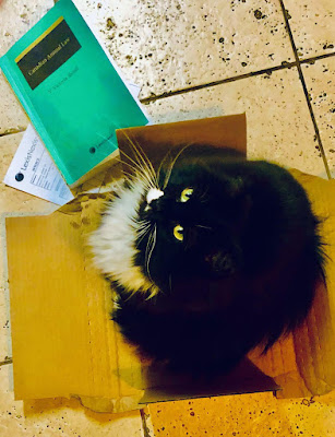 Victoria Shroff's tuxedo cat approves of her book on Canadian Animal Law