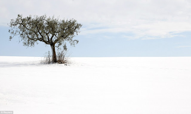 Unbelievable Pictures of Frozen Europe