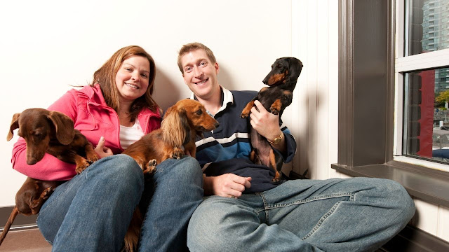 Are dachshunds good family dogs?
