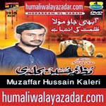 http://www.humaliwalayazadar.com/2014/10/muzafar-hussain-kalari-nohay-2015.html