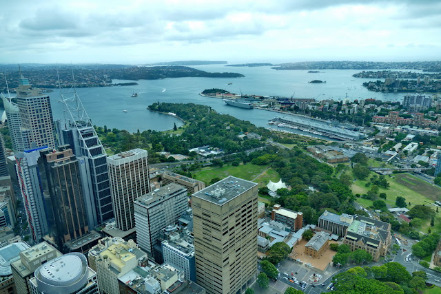 Aussicht, Fernsehturm, Sydney, Australien, Botanischer Garten, Stadt