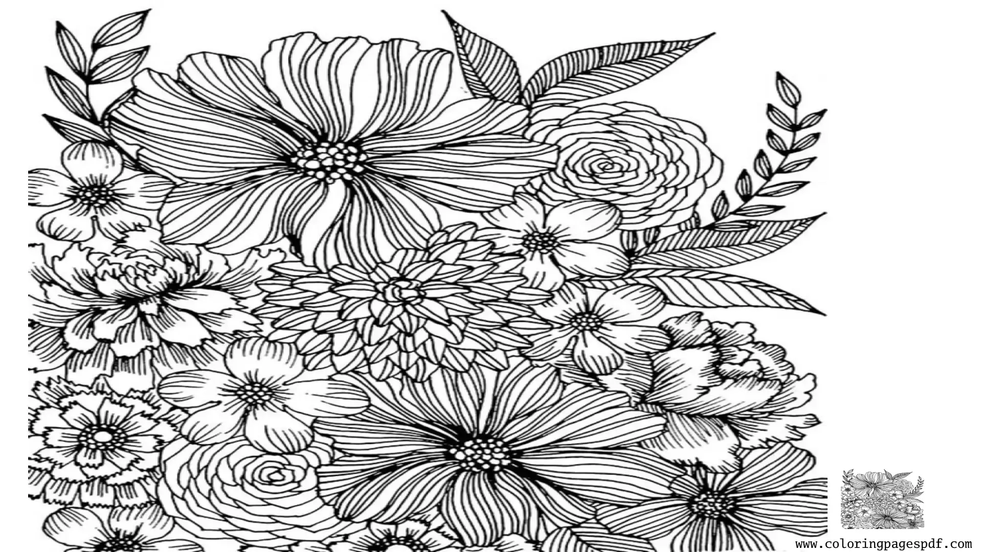 Coloring Page Of Wide Flowers Mandala