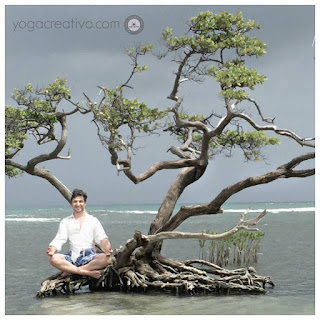 yoga, meditacion, yoga aereo aeroyoga, meditation, mindfulness, columpio, fly, flying, estres, ansiedad, salud, wellness, bienestar, ejercicios, cursos, teacher training, formacion