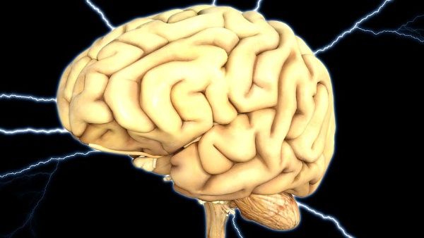 ¿El cerebro puede reprogramarse para combatir la demencia?