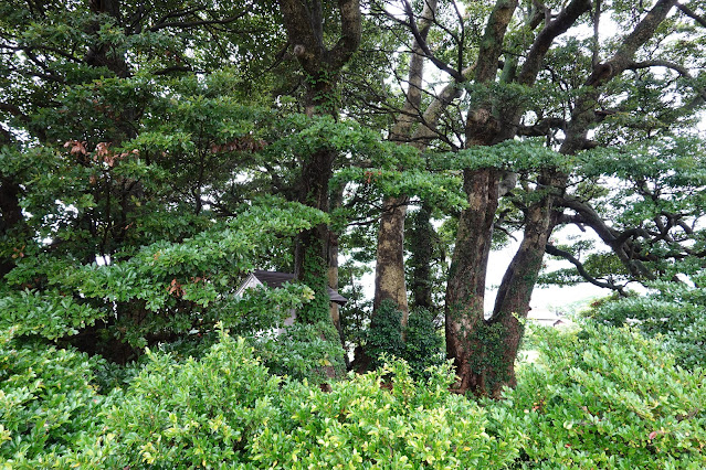 鳥取県西伯郡大山町宮内