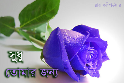 Orkut Scrap - Flowers: 1