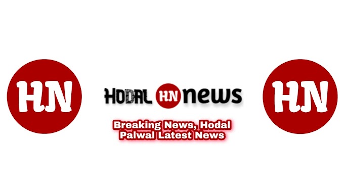 होडल न्यूज को आपकी प्रतिक्रिया पसंद आएगी Hodal News Hodl News would love your feedback