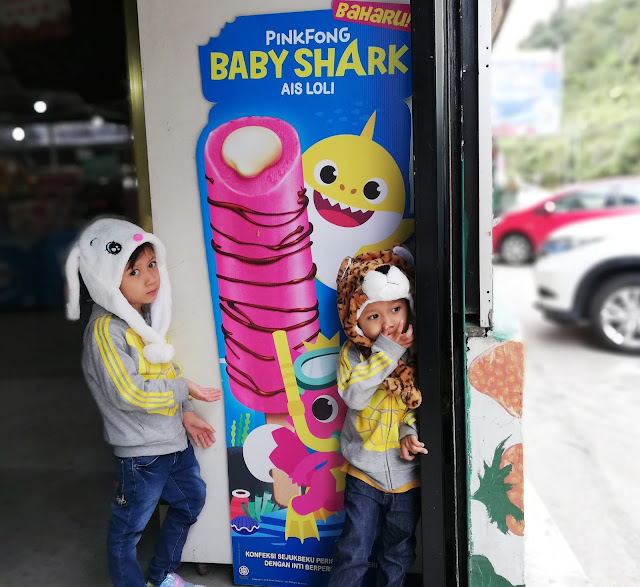 RAYA KEEMPAT AIDILFITRI TEAM MUSTARD DI KOK LIM STRAWBERRY PARK CAMERON HIGHLANDS 