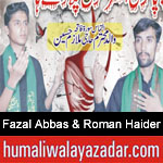 https://humaliwalaazadar.blogspot.com/2019/09/fazal-abbas-roman-haider-nohay-2020.html