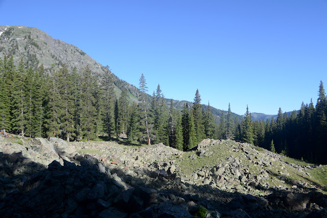 rocks in lumps without trees on top