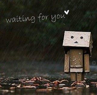 Gambar - Foto - Wallpapers Boneka Danbo Terbaru Terbaik