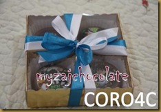 Coklat dan hiasan 9.4.2011 024