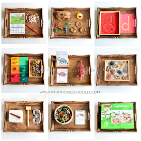 Montessori Inspired Dinosaur Activity Trays for Preschoolers