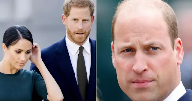 Prince William's Strategic Move Leaves Prince Harry and Meghan Markle Feeling Snubbed