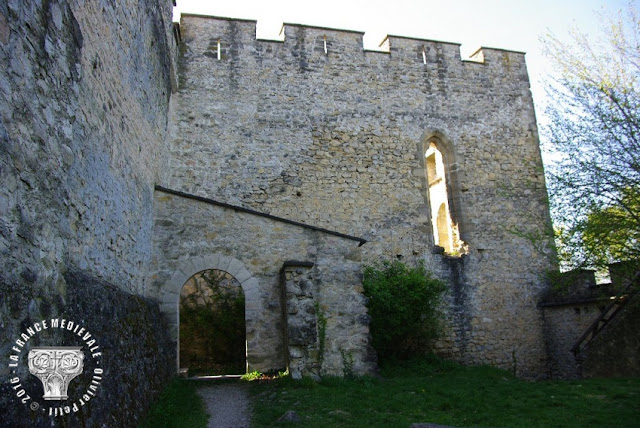 SAINT-QUENTIN-FALLAVIER (38) - Le château de Fallavier