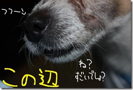 今日カズ１００４１７　４