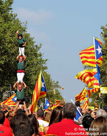 Diada 2014