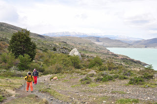 torres del paine