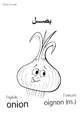 رسومات للتلوين خضروات بصل - Onion - Oignon