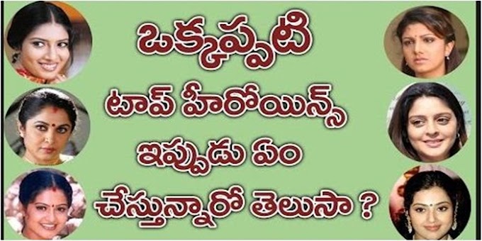 ఒకప్పటి మన హీరోయిన్స్ ఇప్పుడు ఏం చేస్తున్నారో తెలుసా?