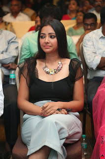 Swetha Basu in a Black Sleeveless Top Long Skirt at Mixture Potlam Movie Audio Launch 009.JPG