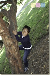 BurlingameFamilyPhotography (5 of 8)