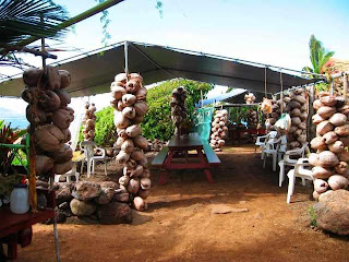 Coconut Shack as a classroom