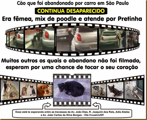 1animais-abandonados