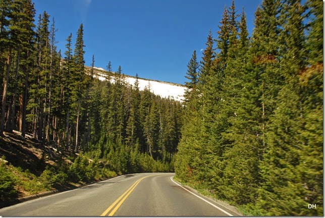06-19-14 A Trail Ridge Road RMNP (40)