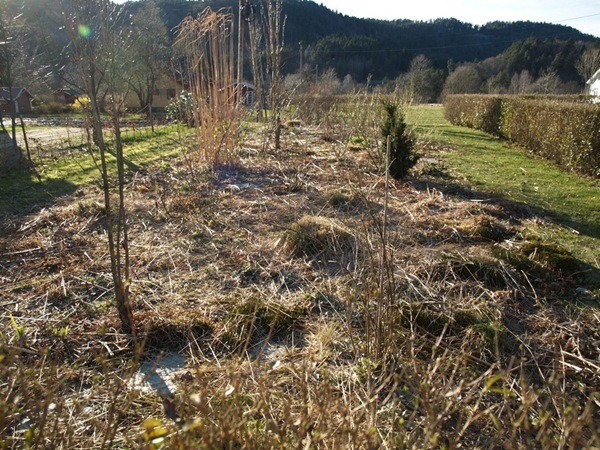 2012-03-31 Hagen på Møll (27)