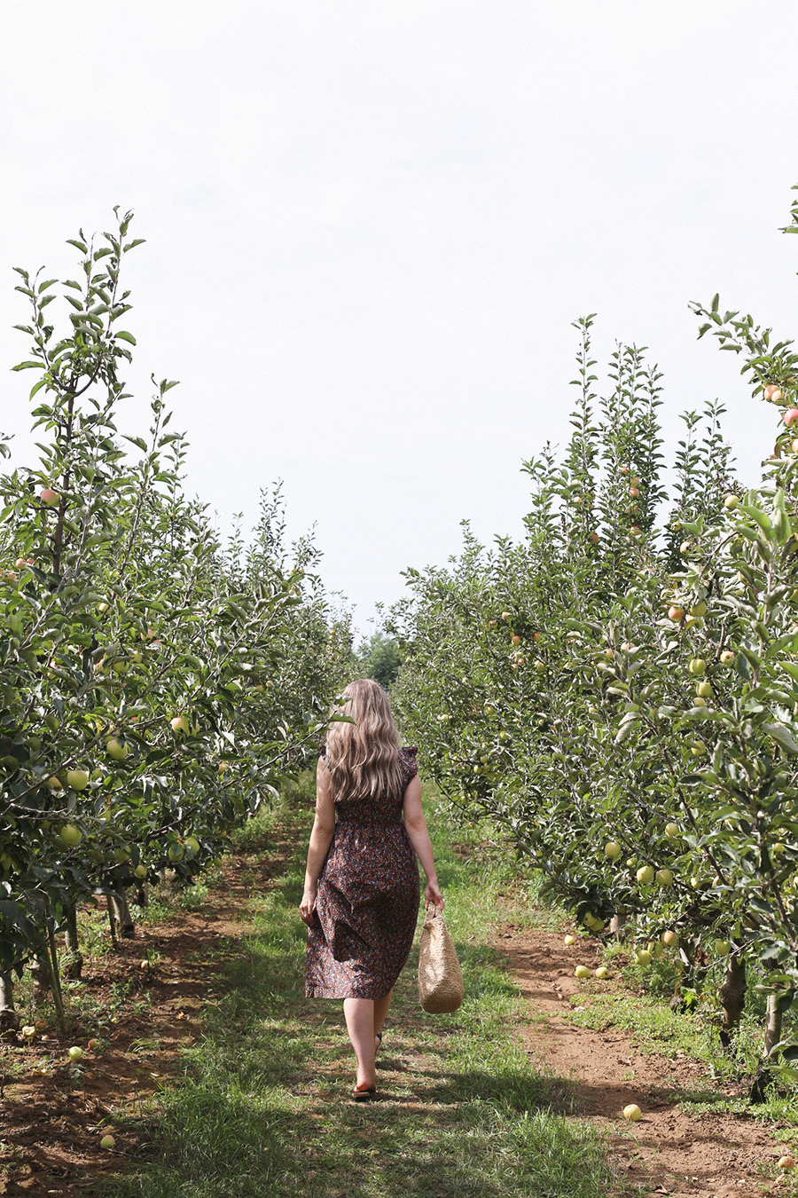 Apple Barn at Taves Family Farms