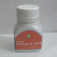 obat herbal tulang dan otot