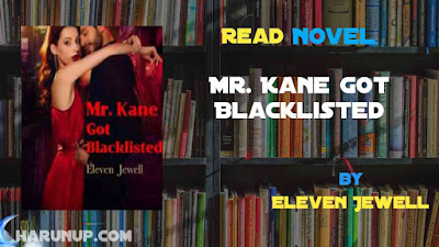 Read Novel Mr. Kane Got Blacklisted by Eleven Jewell Full Episode