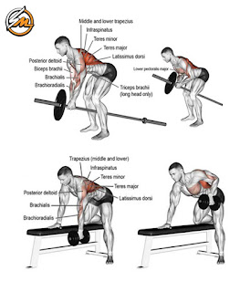 8 Killer Back and Biceps Workouts For Building Muscle