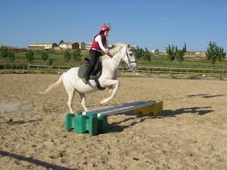 Caballos de Martincho