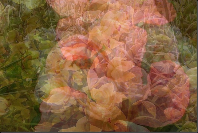 superimposed