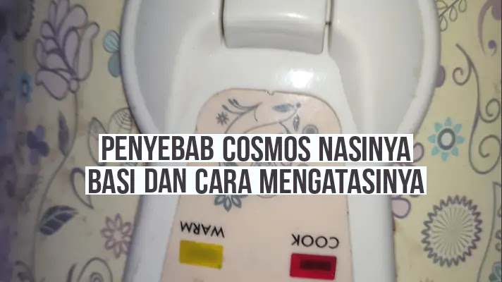 Penyebab cosmos nasi cepat basi