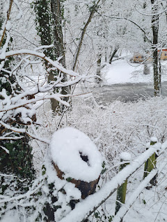 Wald Worpswede Eisfläche