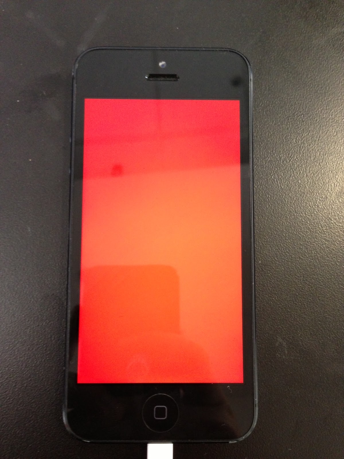 Once the iPhone returned to the boot screen (Apple logo), a command