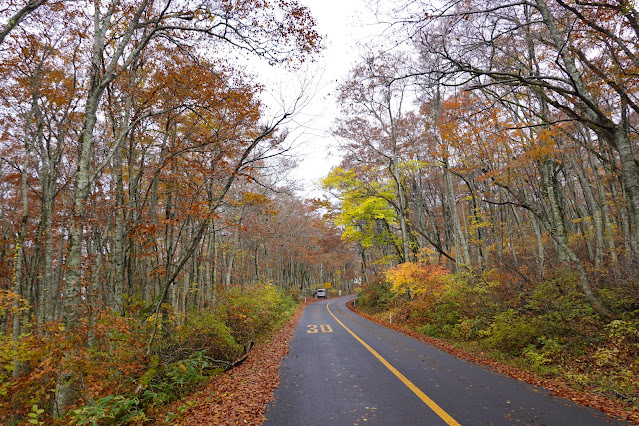 鳥取県道45号倉吉江府溝口線（大山環状道路）