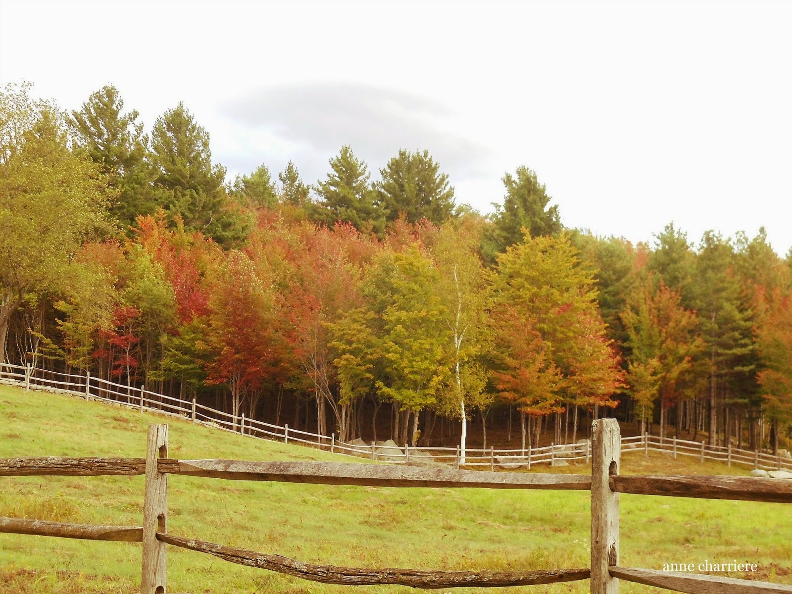 annecharriere.com, fall foliage, leaf color,