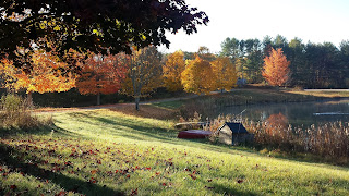 Pond at Alewive Pond Farm