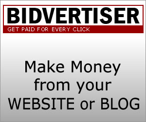 Bidvertiser