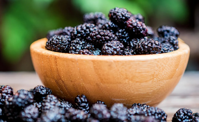 Mullberries Nutritional Profiles and Unique Benefits