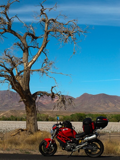 Cotton Fields Solomon AZ