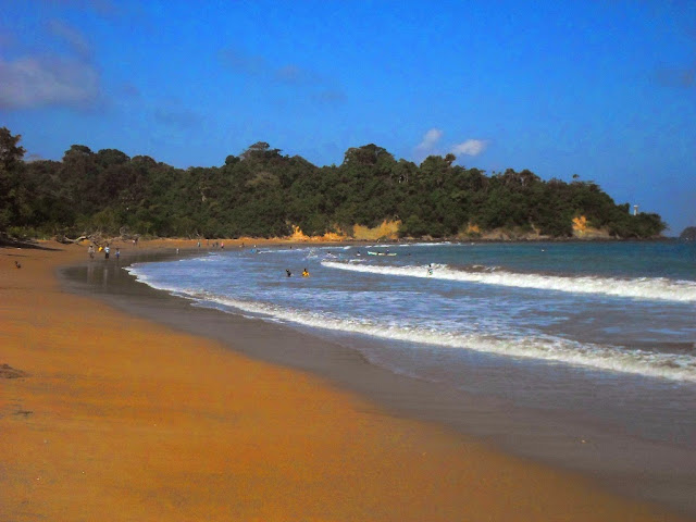 Pantai Tamban Panorama Eksotis nan Menawan Malang