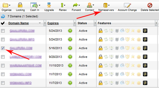 Parking domain name at GoDaddy-select nameservers button