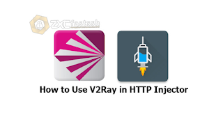 Cara Menggunakan V2Ray di HTTP Injector
