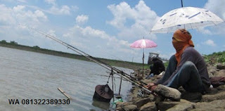 Cara Mancing Ikan Mas Di Waduk